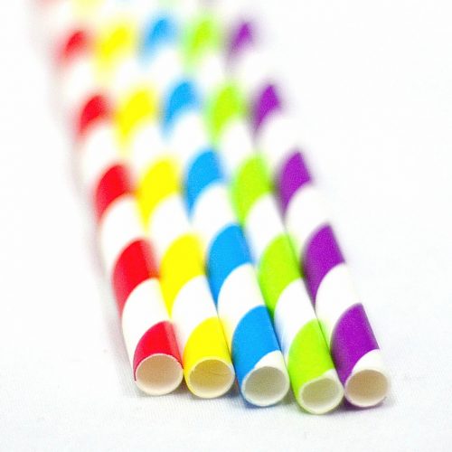 Regular Sized Paper Straws (250 pack)