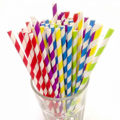 Regular Sized Paper Straws (250 pack)