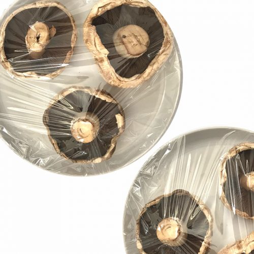 Biogone Landfill Biodegradable Cling