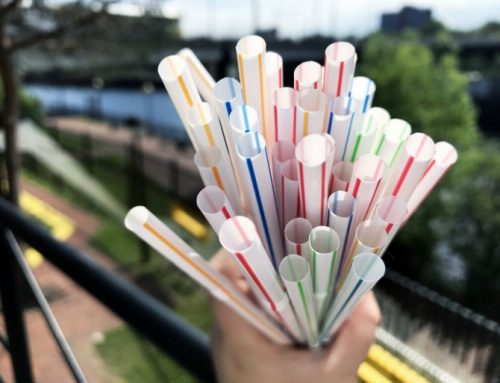Plastic Straws Being Banned Around the World