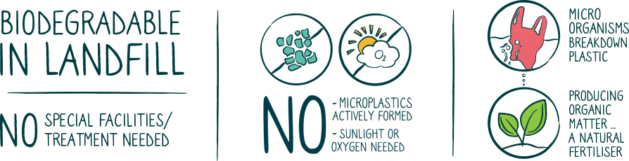 The Logical The Logical