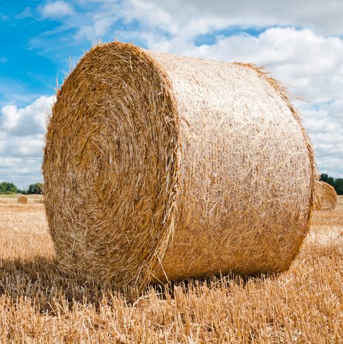 Hay Bale Netting