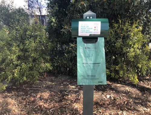 Glen Eira City Council has it in the bag