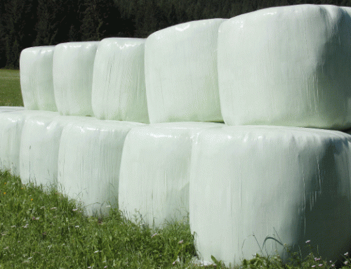 Innovative agricultural plastic wrap that biodegrades in landfill