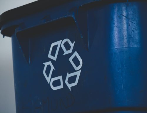 Landfill-biodegradable plastics complement the circular economy