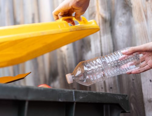 From 2019 to 2025: Plastic Waste in Australia — A Five-Year Journey